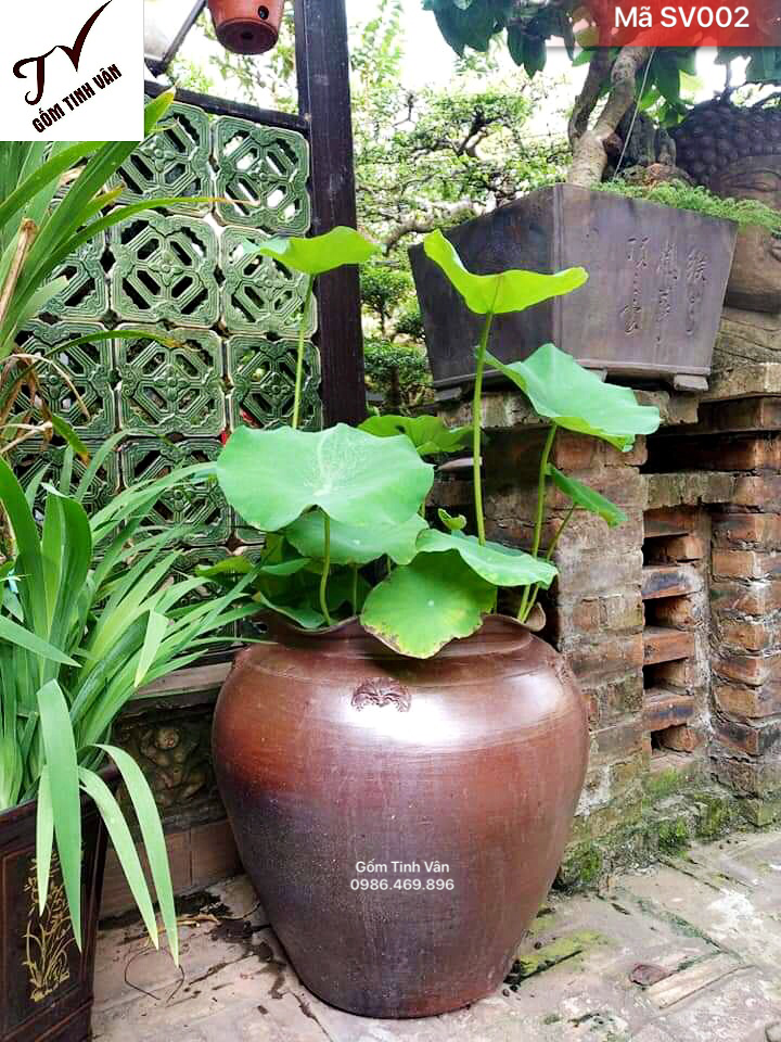 Chậu trồng sen sân vườn, mã SV002, miệng lượn, đường kính 50 cm, cao 50 cm, gốm sành không men, gốm bát tràng, tinh vân