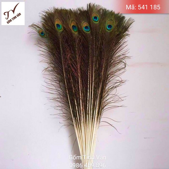 1 Cành lông công phong thủy, mã 541187, ý nghĩa vinh hoa phú quý,  kích vận sự nghiệp, thăng quan tiến chức, dài 1 met, gốm tinh vân