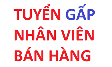 TUYỂN GẤP NỮ NHÂN VIÊN BÁN HÀNG GỐM SỨ BÁT TRÀNG TẠI TP HCM